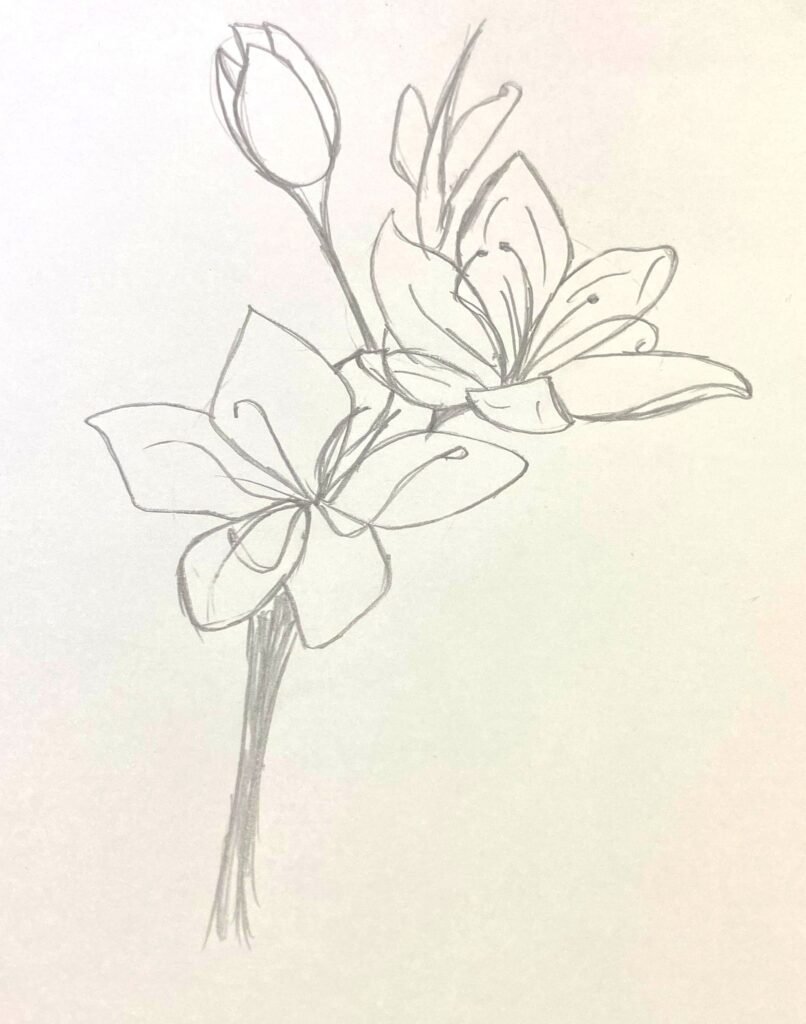 Hand-drawn floral artwork, illustrating the process of improving artistic skills over time.